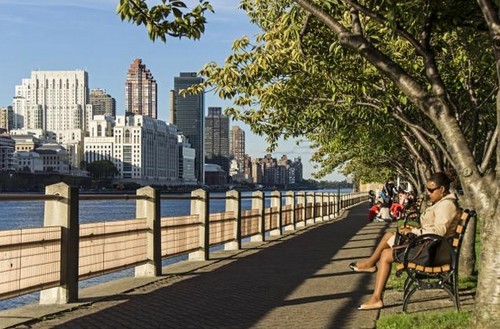 Una pratica e utile guida per trovare con successo lavoro negli stati uniti