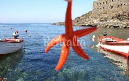 rentalia_9
