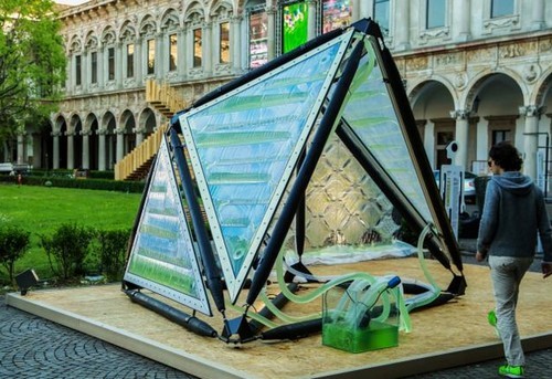 Edifici a base di alghe: i fondali marini conquistano le città (fotogallery)