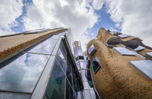 edificio_gehry_6