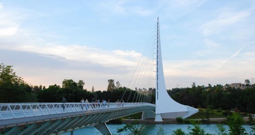 ponti_4