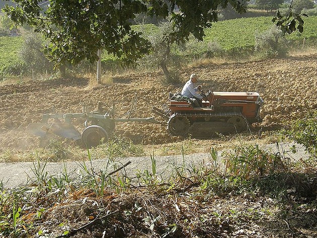 Imu terreni agricoli montani, solo sei giorni per il pagamento