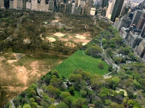 Ecco come è cambiato central park dai violenti anni '80 ad oggi (fotogallery)