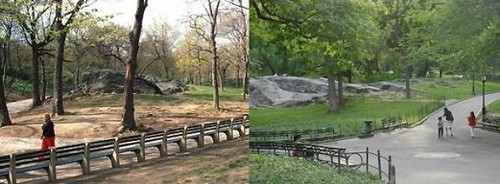 central_park_13