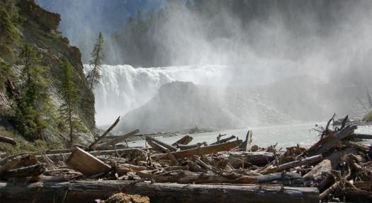 gallery-natureoutdoor-01