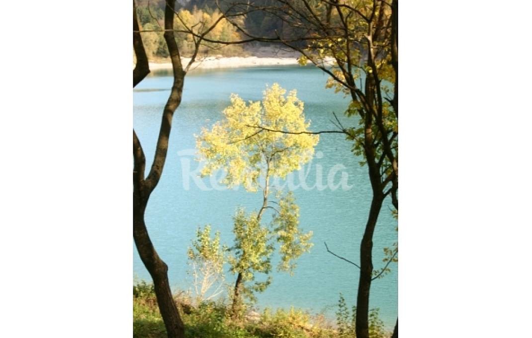 h.3748403.1070.680.0.ffffff.wm_.e211e119