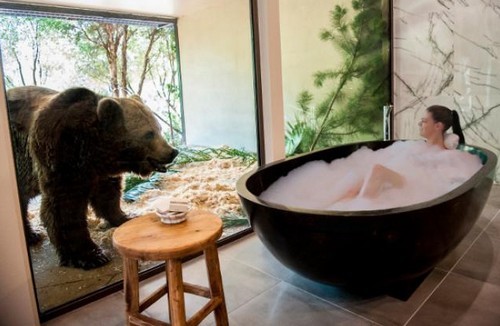 Un hotel in australia dove ci si sveglia in compagnia di un orso e si cena con un leone (fotogallery)