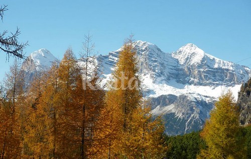 rentalia_cortina_10