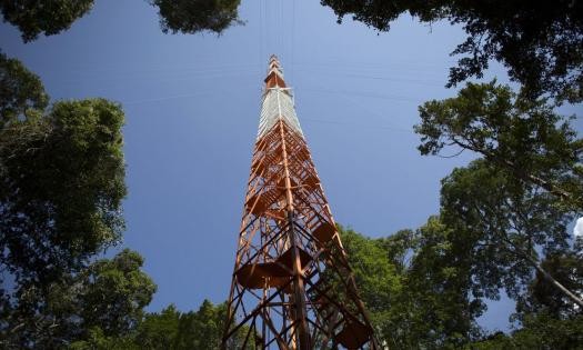 torre-1