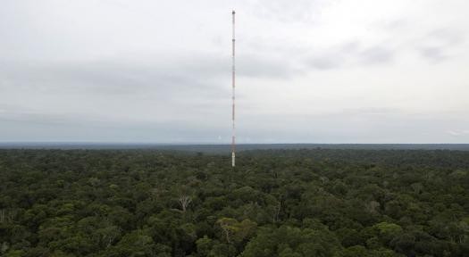 La torre più alta del sudamerica svetta nel mezzo della foresta amazzonica (fotogallery)