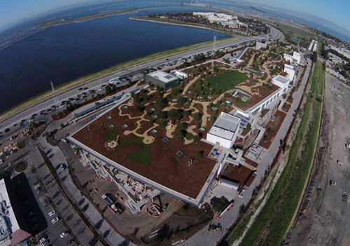 Alcune immagini della nuova sede californiana di Facebook (fotogallery)