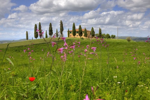 Imu agricola, il governo è pronto a intervenire nel 2016
