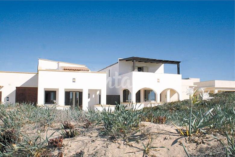 h.3467978.780.520.0.ffffff.wm_.1de140af