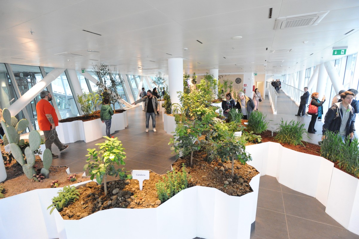 la_biodiversita