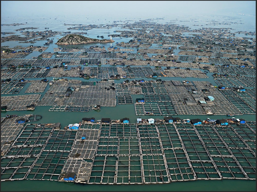 Le orme incancellabili che l'uomo ha lasciato nella natura in 12 incredibili immagini 