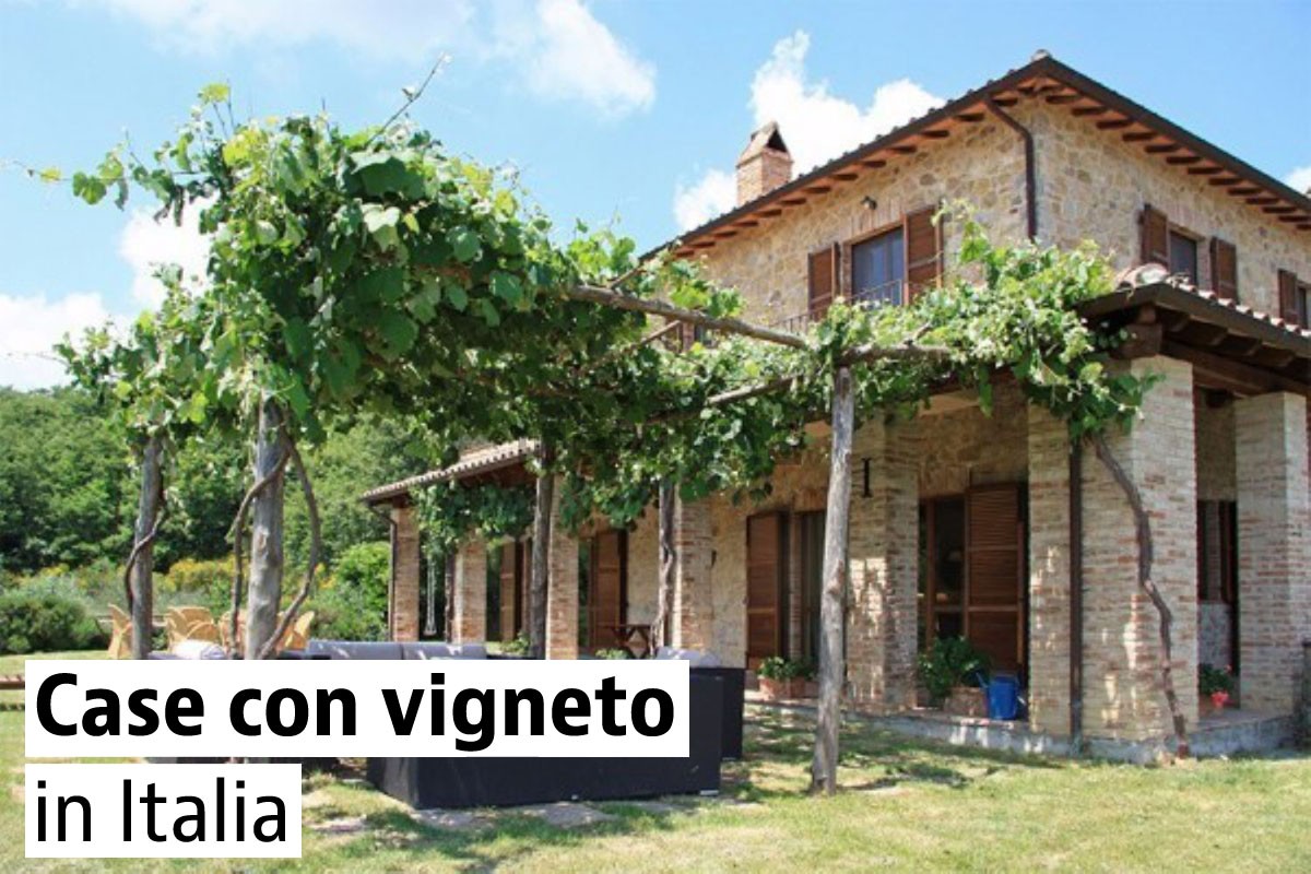 Case con vigneto e terreno in vendita