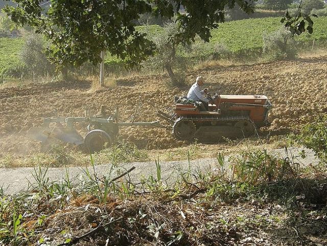 Imu terreni agricoli 2015, scadenza pagamento il 30 ottobre