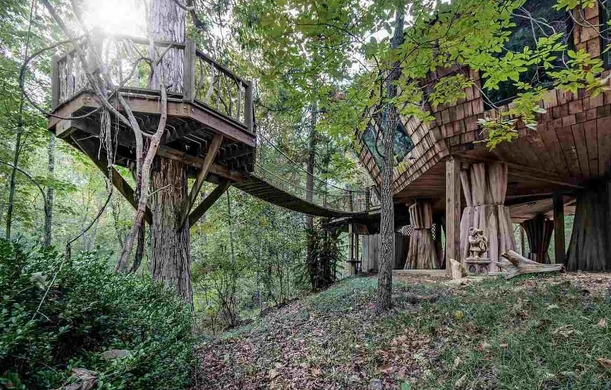casa_albero_12
