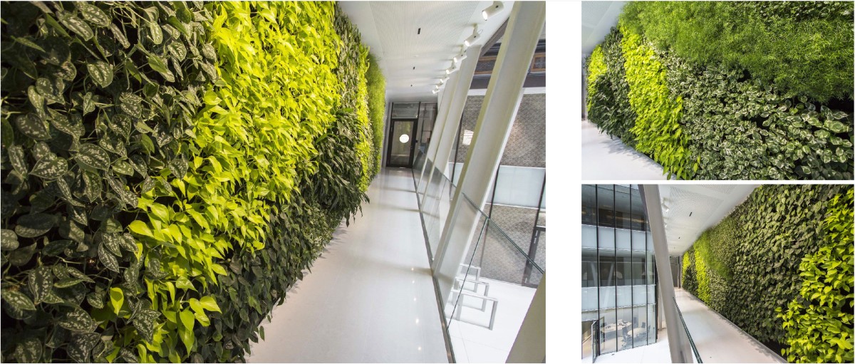 Alla scoperta degli edifici più sostenibili d'Italia e d'Europa (fotogallery)