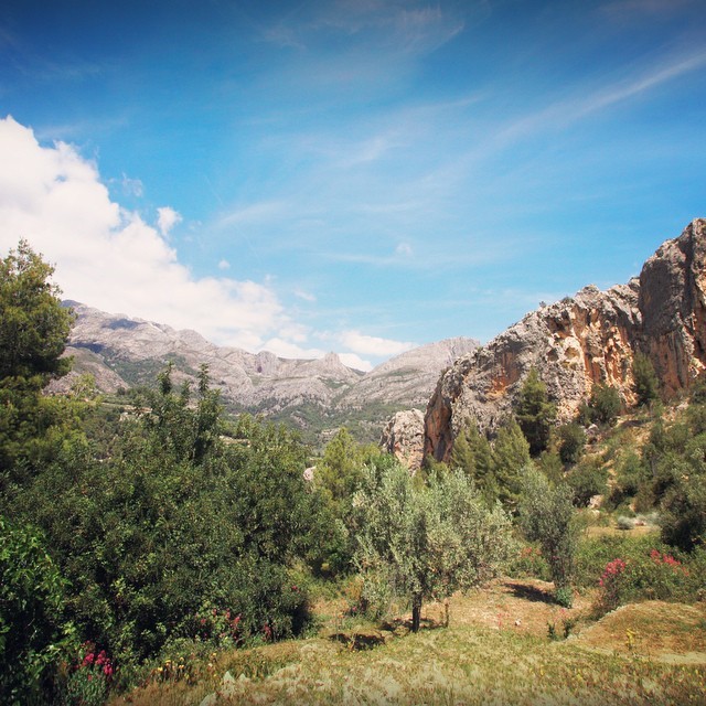 11273356_425303557639618_1896693480_n_1