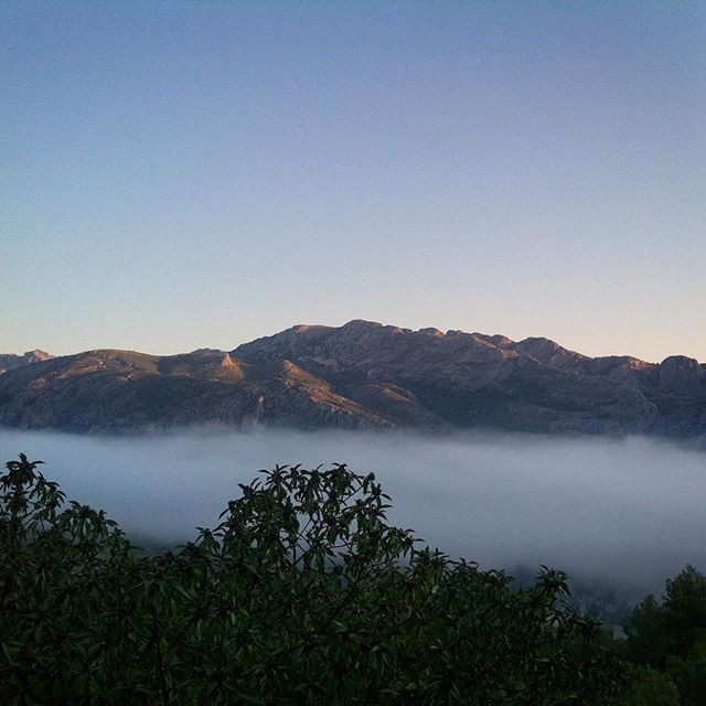 11296715_862717717153848_1389993623_n