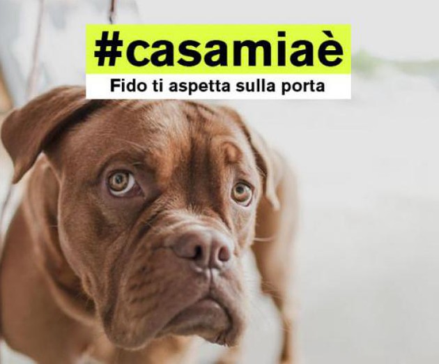 #casamiaè: la nuova campagna di idealista vuole sapere cosa rende unica la tua casa