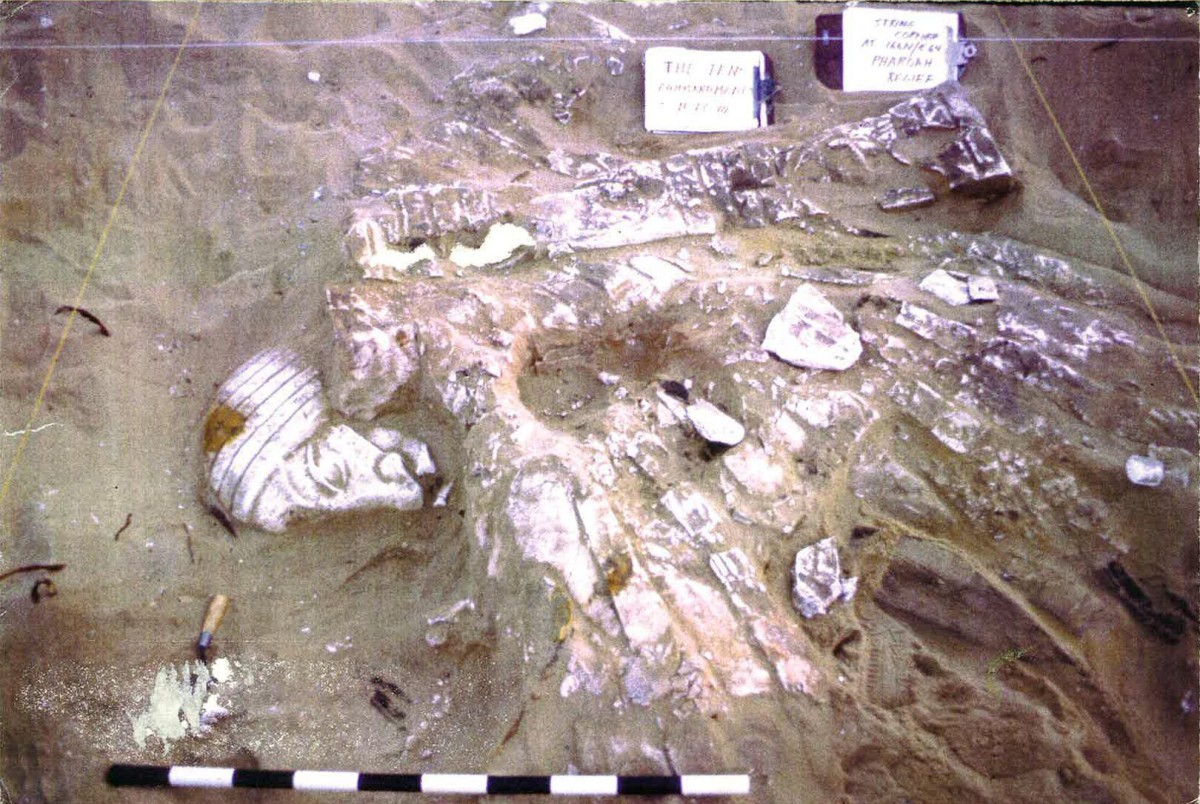 face-fragment-in-situ