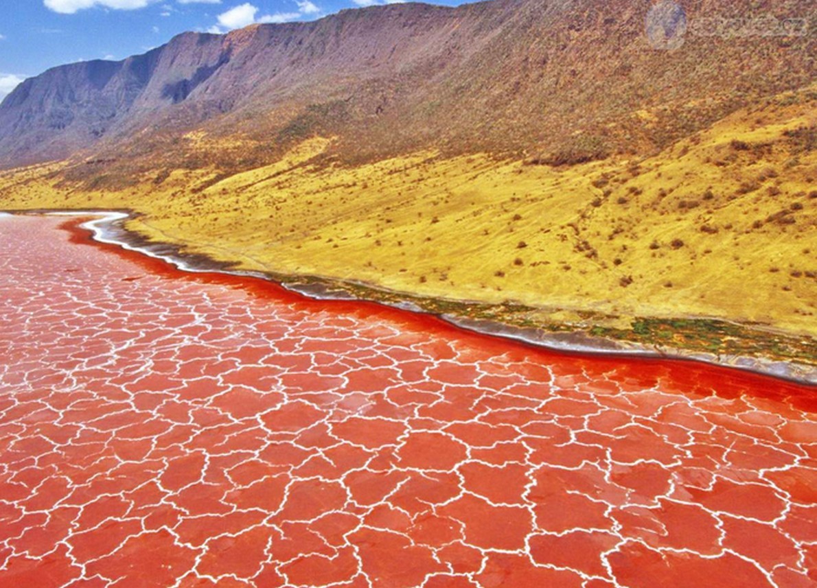 Lago di color rosso in Tanzania