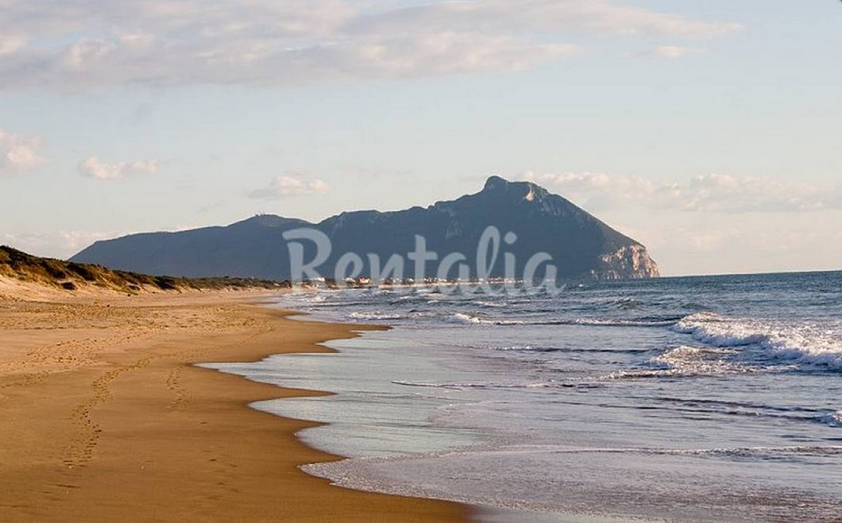 Una spiaggia di Sabaudia