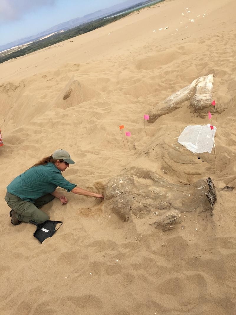 La città egizia cinematografica sepolta in California