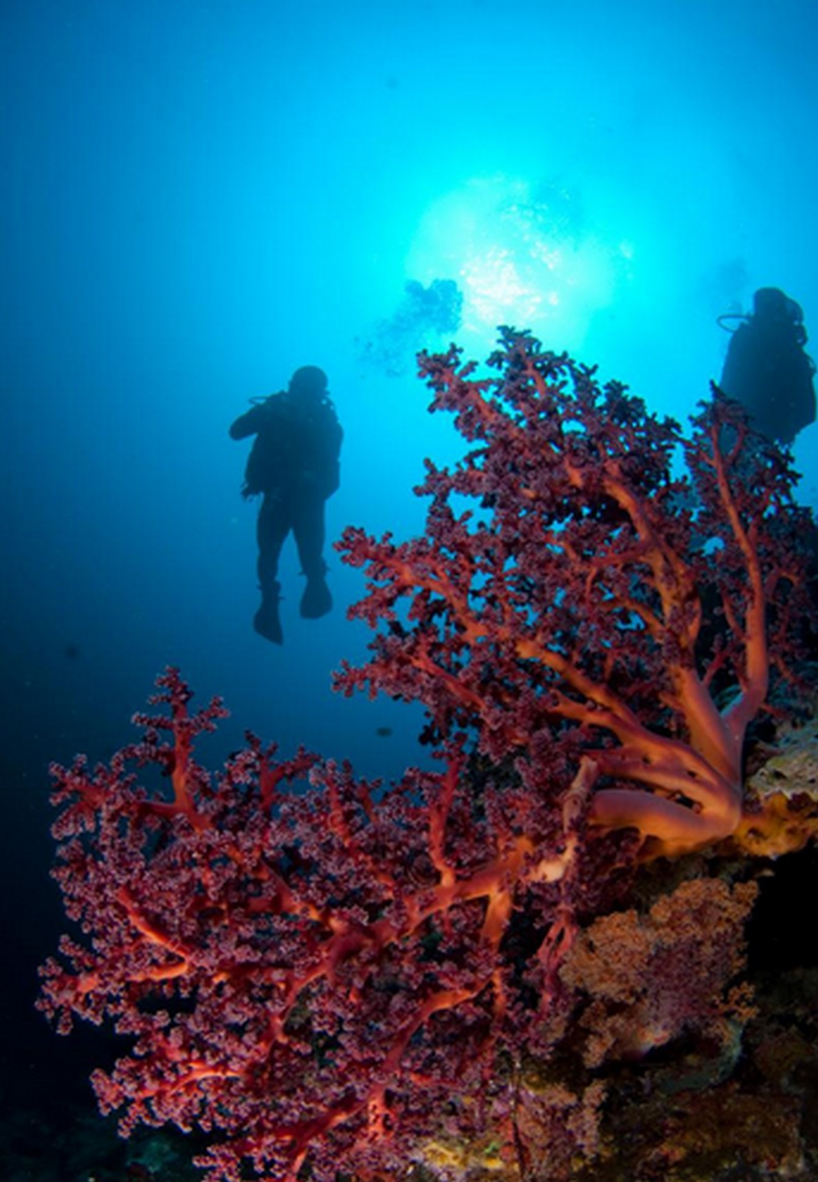 hotel_piattaforma_11