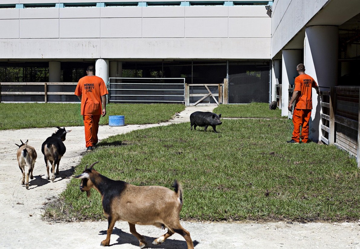 Il centro penitenziario in Florida