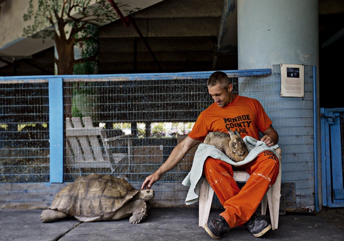 La prigione che ospita animali negli USA