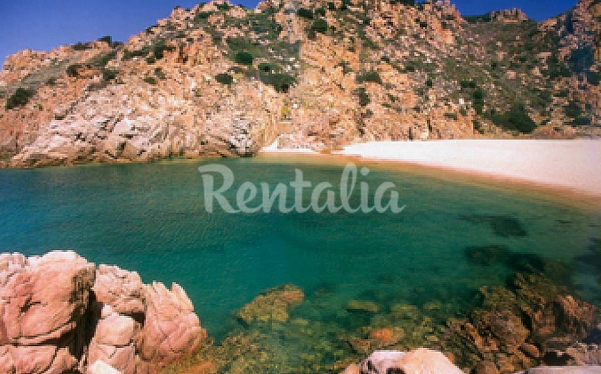 Vacanze in Sardegna, a Costa Paradiso un delizioso appartamento in villa (Fotogallery)