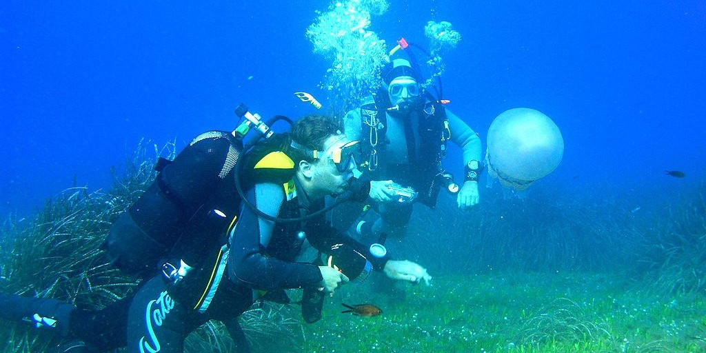 Sub, Snorkeling e Surf: le migliori destinazioni in Italia