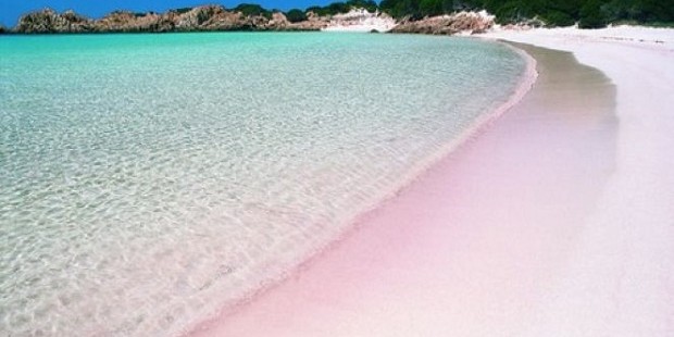 Le spiagge più strane e particolari d'Italia - Spiaggia rosa a Budelli
