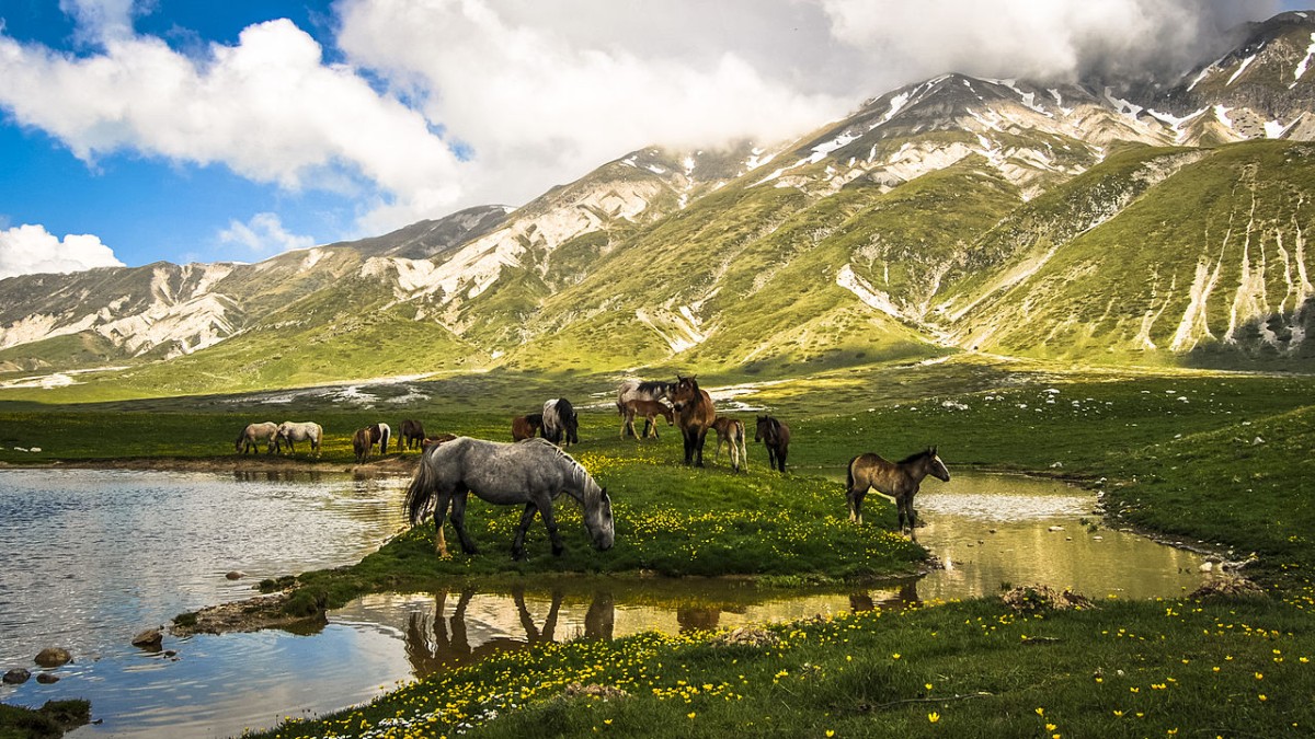 Dove vedere le stelle cadenti la notte di San Lorenzo - Campo Imperatore