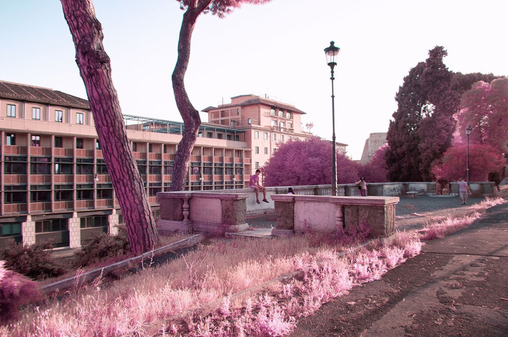 roma_rosa_07