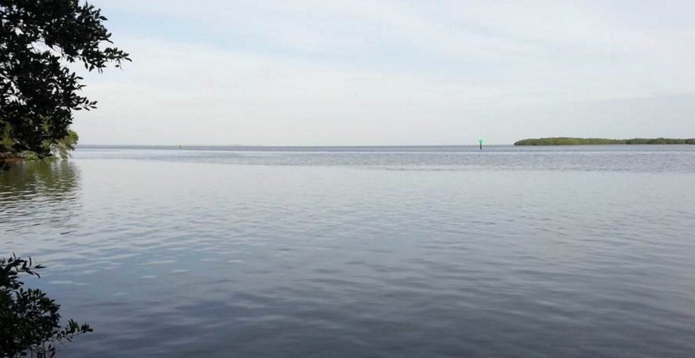 screen_shot_2016-09-21_at_9.37.35_am