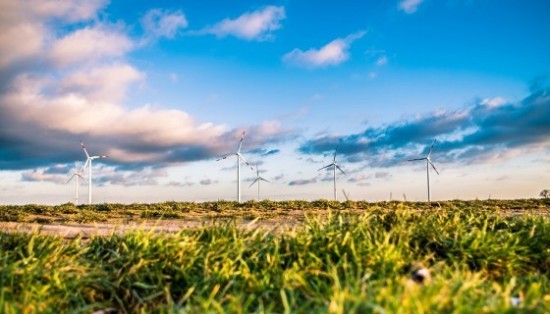 Legge di Stabilità 2017, 15 proposte di Legambiente per una finanziaria "green" (senza nuove tasse)