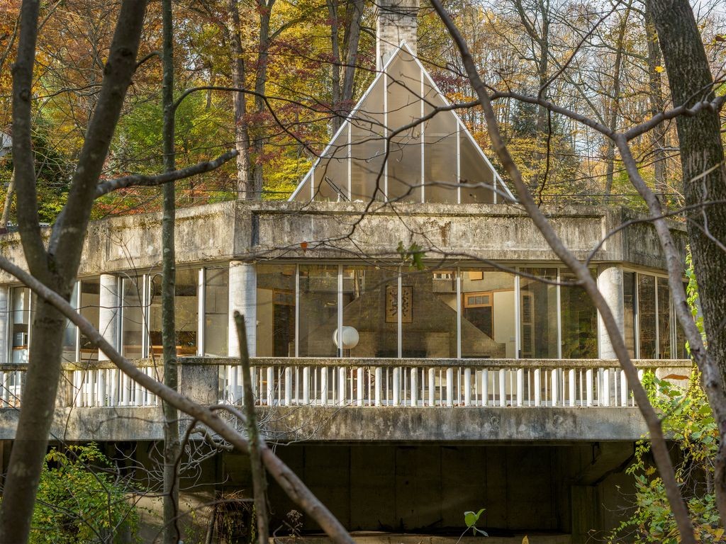E' in vendita per 750.000 dollari casa_invernadero_06