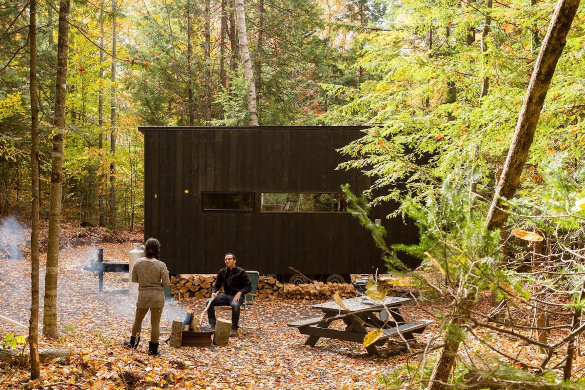 Minicase nascoste nei boschi per spegnere il cellulare