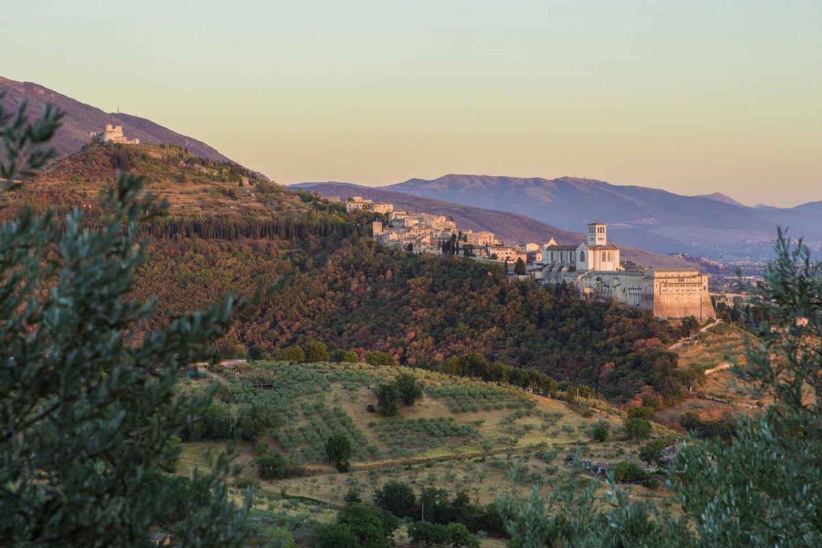 assisi_bosco_san_francesco
