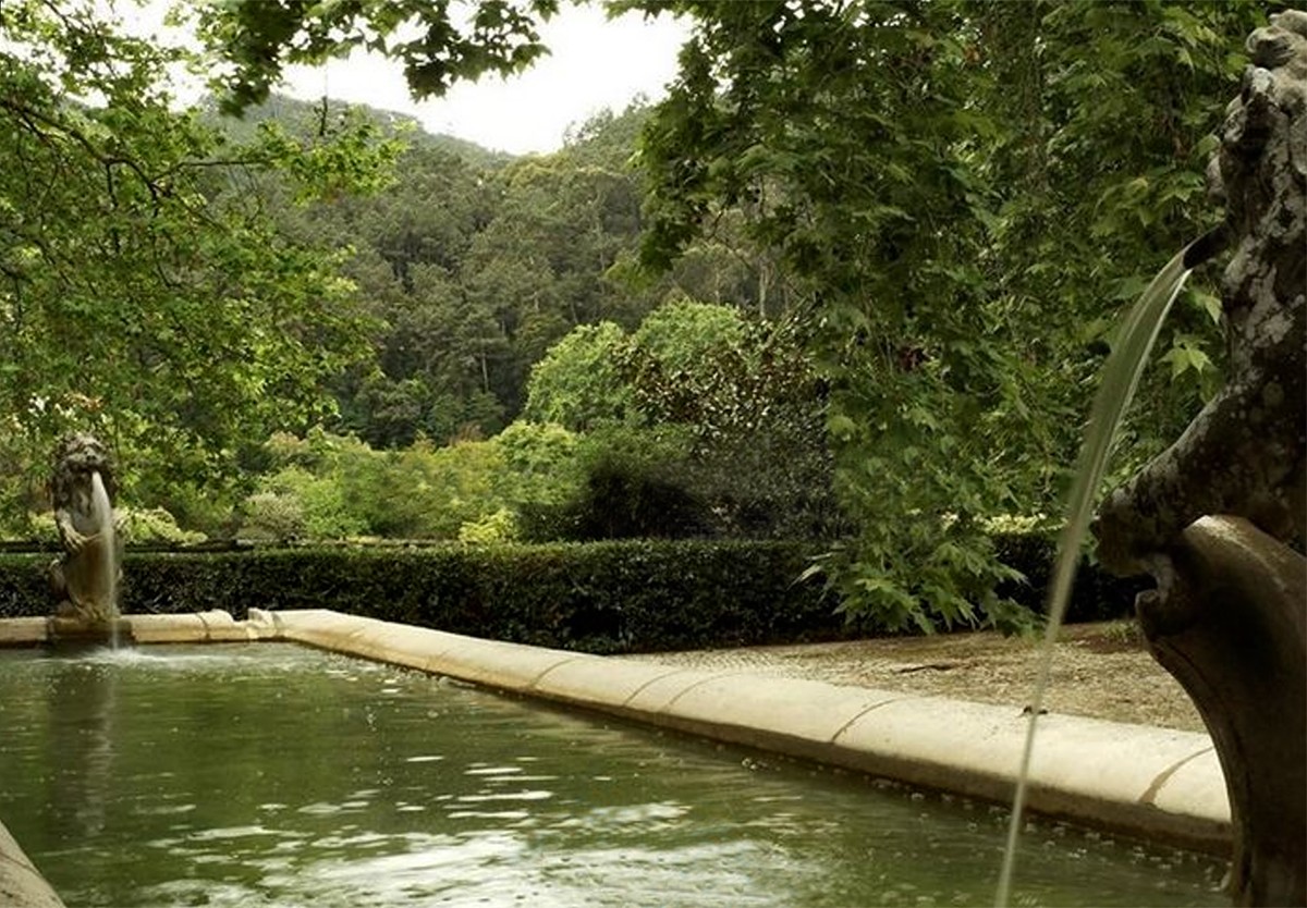 quinta_do_vinagre_madonna_03