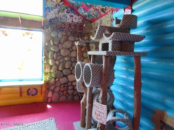 craziest-cat-house-ever-stanford-concho-arizona-10