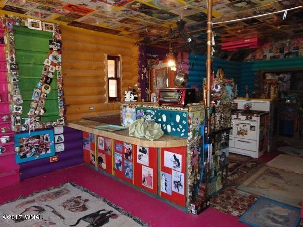 craziest-cat-house-ever-stanford-concho-arizona-18