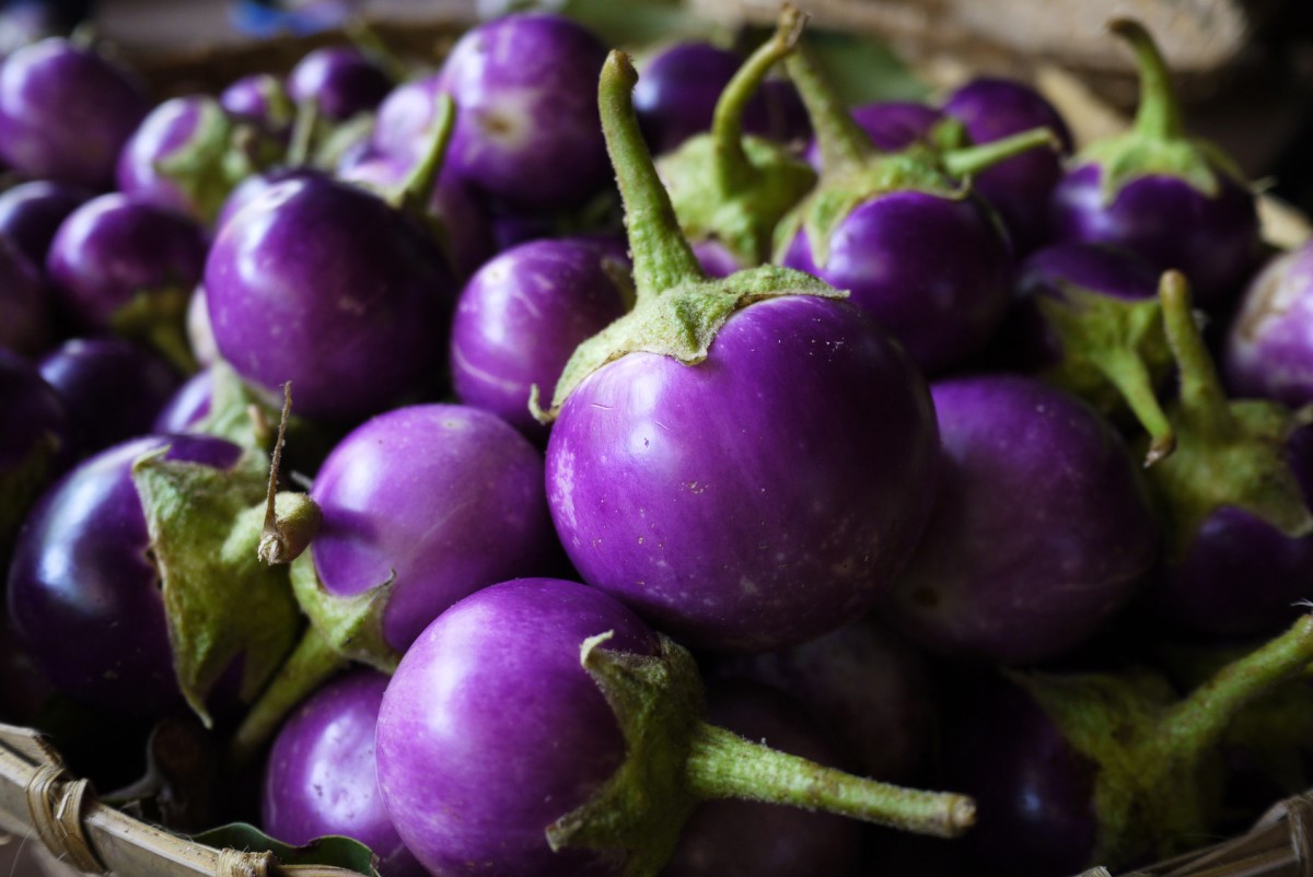 4. Sagra della Violetta a Firenze 4 sagre estive imperdibili
