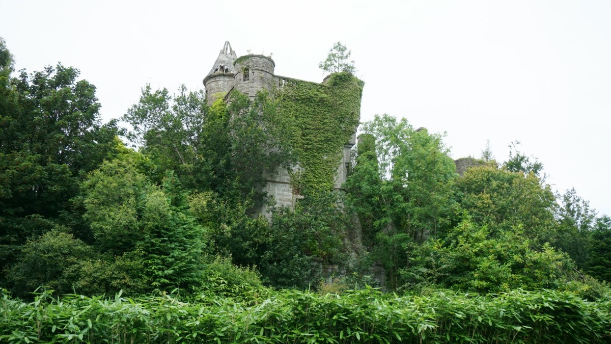 a440a22f-c314-4586-9991-2c01548d2dec