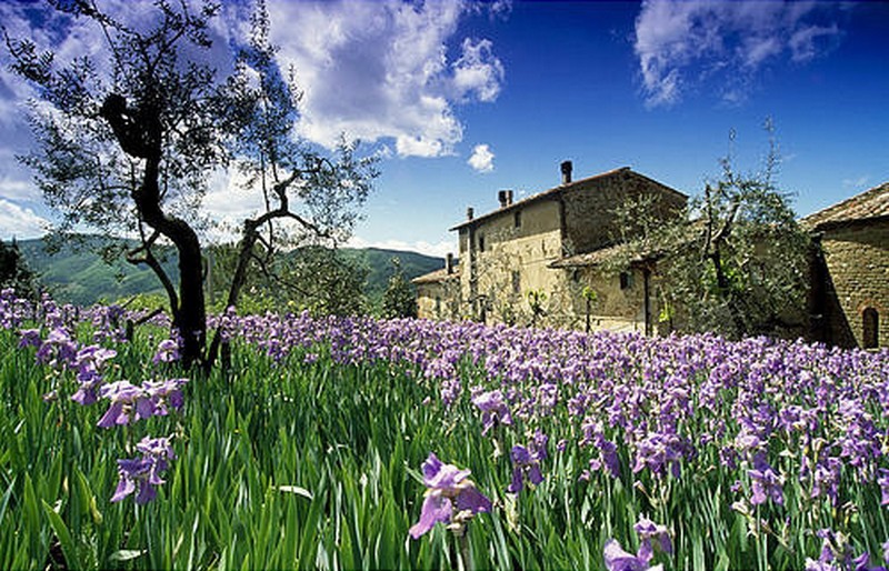 Tassa affitti brevi, il primo pagamento scatta il 16 ottobre 2017