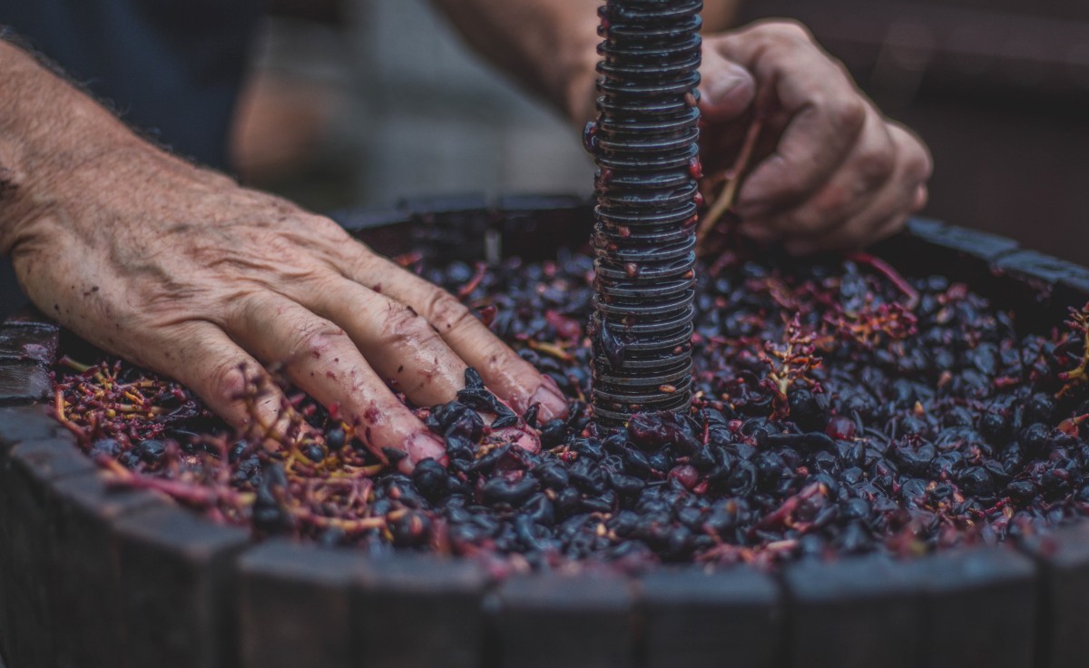 2. Viaggia nel tempo a Vignanello sorseggiando del buon vino Viaggia nel tempo a Vignanello sorseggiando del buon vino
